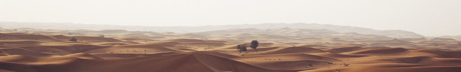 ݶܲʸ޹˾